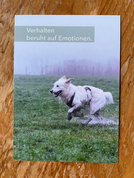 Postkarte Verhalten beruht auf Emotionen mit Foto Hund von vorne.