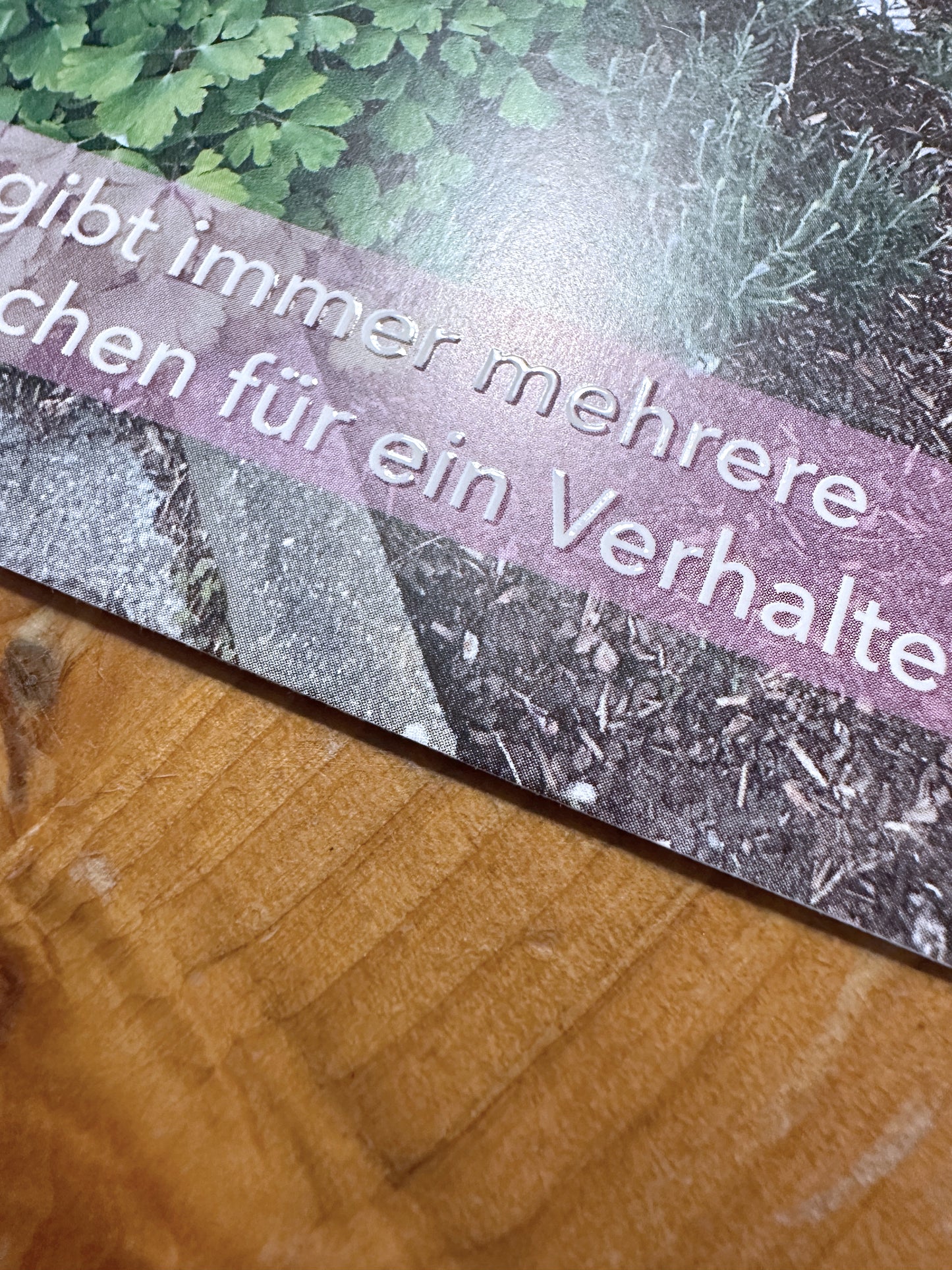 Postkarte Verhalten hat immer mehrere Ursachen