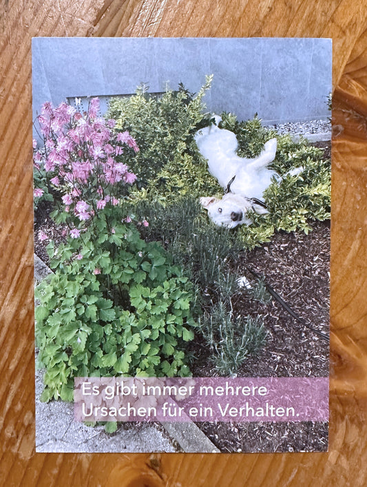 Postkarte Verhalten hat immer mehrere Ursachen